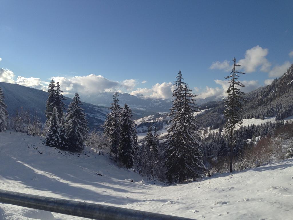 Apartment Bergquell Tirol *
