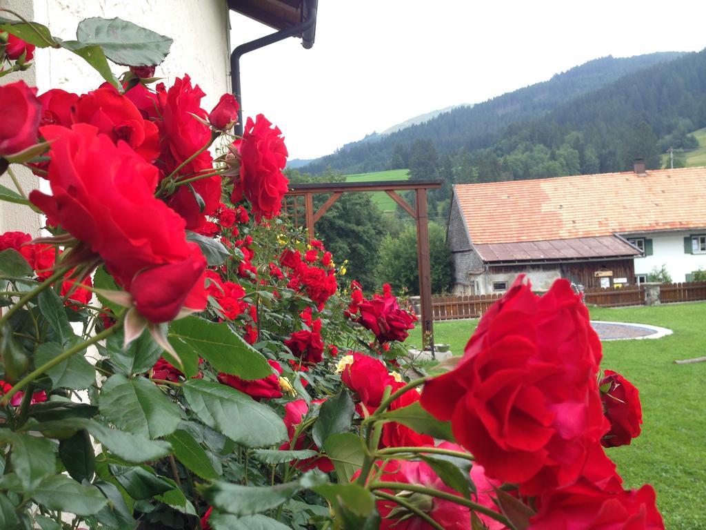 Bergquell Tirol