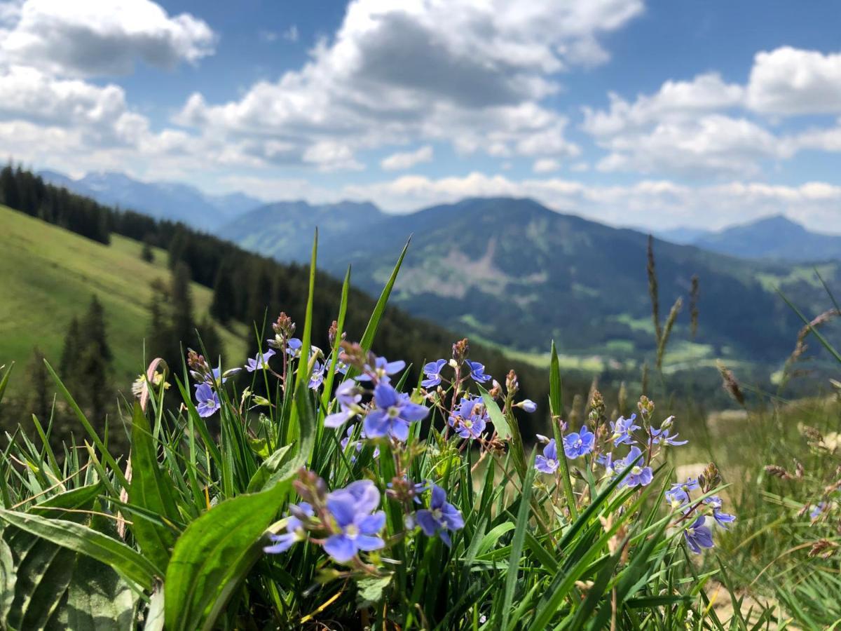 Bergquell Tirol Apartment