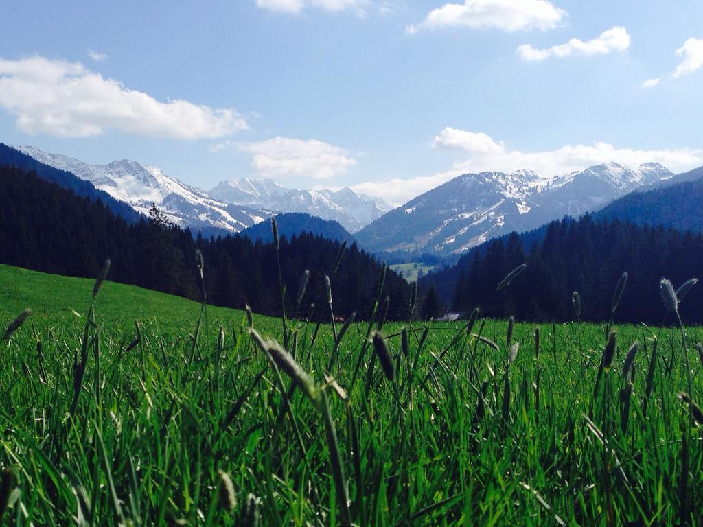 Apartment Bergquell Tirol *